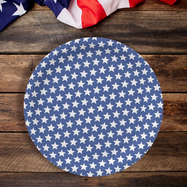 Blue and White Stars Summer Party Paper Plates (Creator Uploaded)