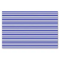 Thick and Thin Blue and White Stripes Paper Plates