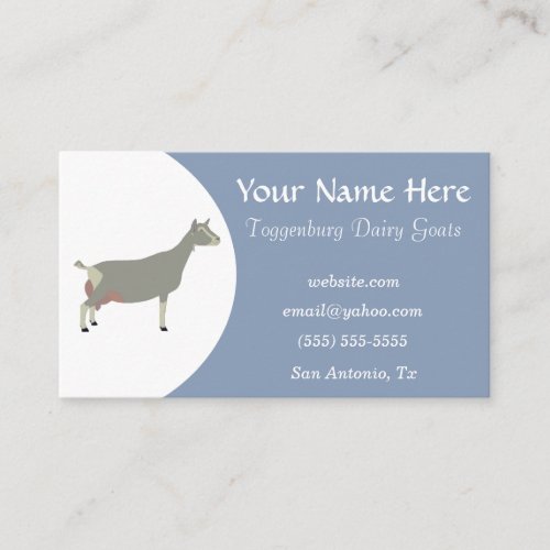 Blue and White Toggenburg Dairy Goat Business Card