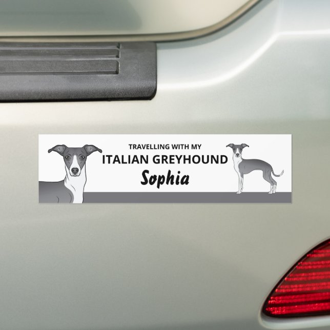 Blue And White - Traveling With My Iggy Dog Bumper Sticker (On Car)