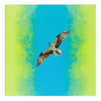 Blue and yellow acrylic print