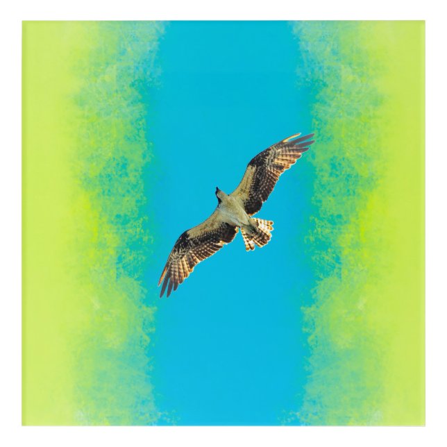 Blue and yellow acrylic print (Front)