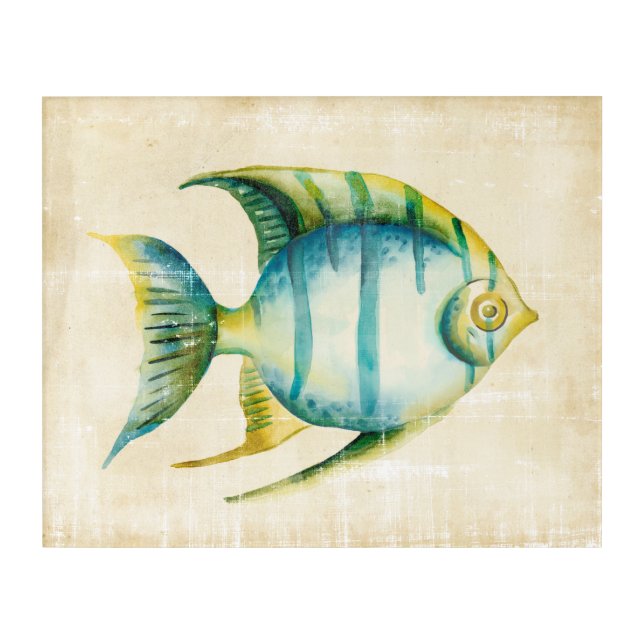 Blue and Yellow Aquarium Fish Acrylic Print (Front)