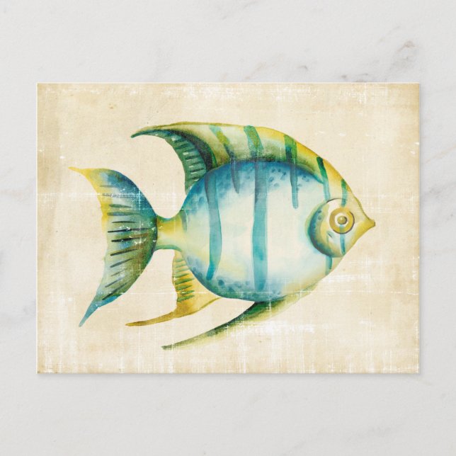 Blue and Yellow Aquarium Fish Postcard (Front)