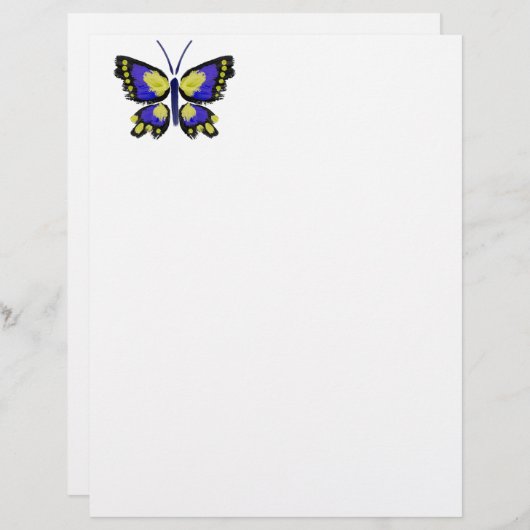 Blue and Yellow Butterfly (Front/Back)