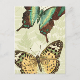 Blue and Yellow Butterfly Postcard