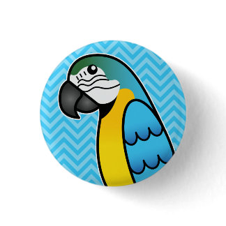 Blue And Yellow Cartoon Macaw Parrot Bird Pinback Button