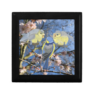 Blue and Yellow Chickadee family Gift Box