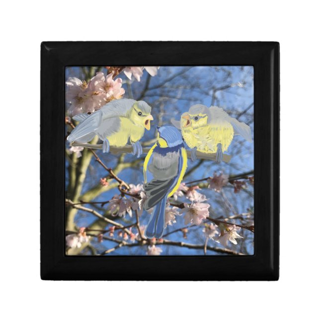Blue and Yellow Chickadee family Gift Box (Front)
