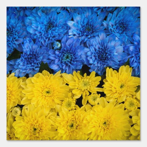 Blue and Yellow Chrysanthemums Nature Photo Poster Sign