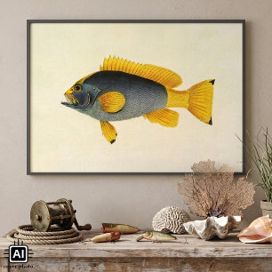 Blue and Yellow Grouper Fish, Vintage Marine Life Poster