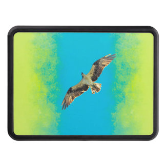 Blue and yellow hitch cover