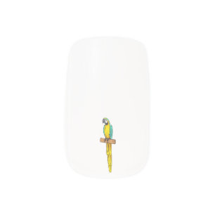 Blue-and-yellow macaw bird cartoon illustration minx nail art