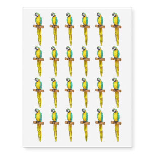 Blue-and-yellow macaw bird cartoon illustration  temporary tattoos