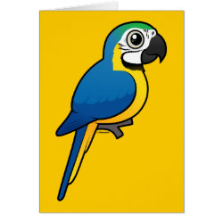 Blue-and-yellow Macaw Note Card