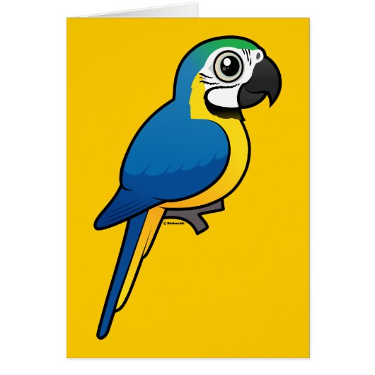Blue-and-yellow Macaw Cards (Front)