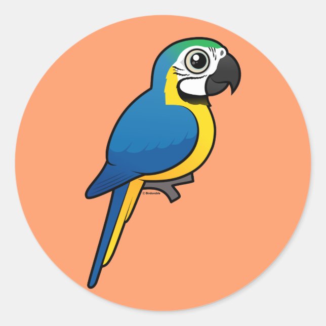 Blue-and-yellow Macaw Classic Round Sticker (Front)