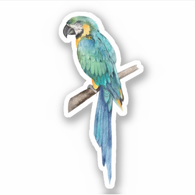Blue and Yellow Macaw Custom-Cut Vinyl Sticker  (Front)