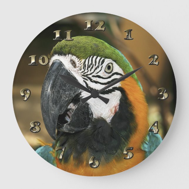 Blue and Yellow Macaw from Amazon Large Clock (Front)