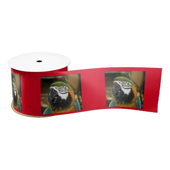 Blue and Yellow Macaw from Amazon Satin Ribbon (Spool)