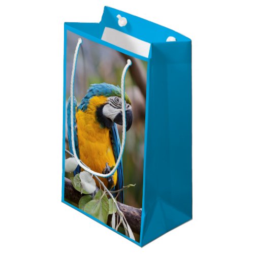 Blue and Yellow Macaw Gift Bag
