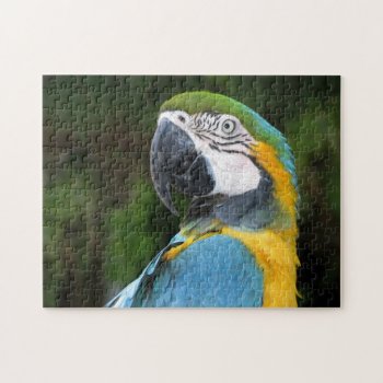 Blue And Yellow Macaw Jigsaw Puzzle by hawkysmom at Zazzle