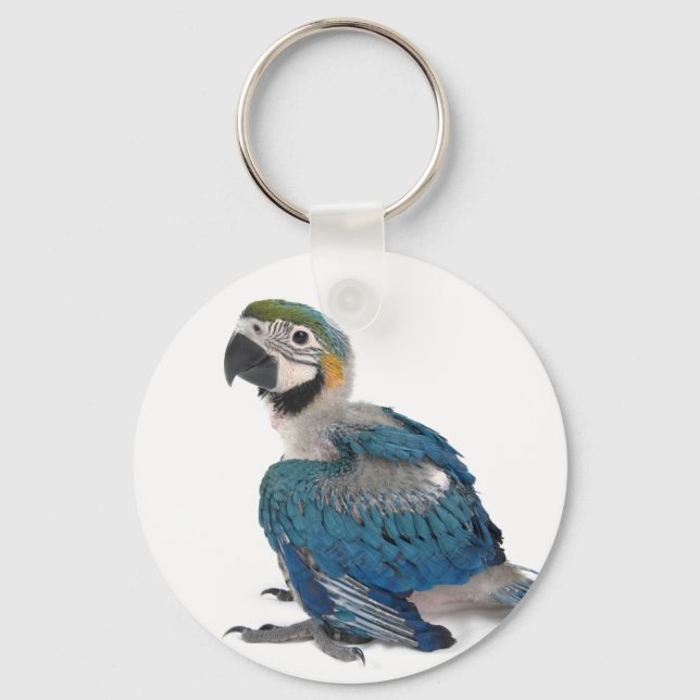 Blue and yellow Macaw Keychain (Front)