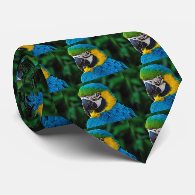 Blue-and-yellow Macaw Neck Tie (Rolled)