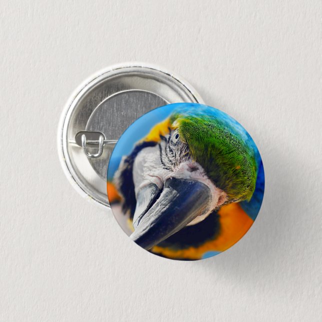 Blue and Yellow Macaw, Parrot Face Button (Front & Back)