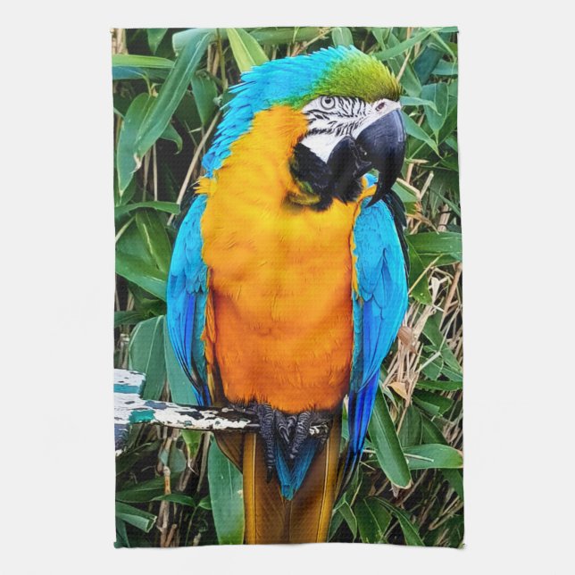 Blue and Yellow Macaw Parrot Kitchen Towel (Vertical)