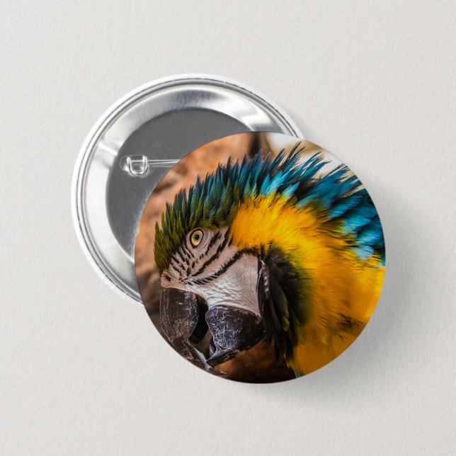 Blue and yellow macaw portrait button (Front & Back)