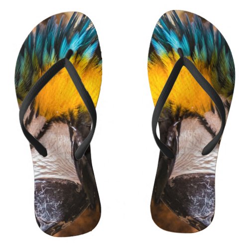 Blue and yellow macaw portrait flip flops