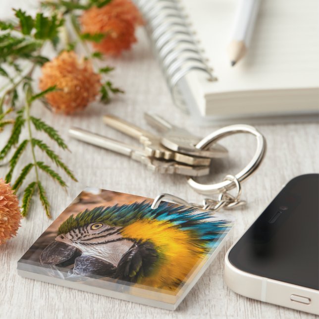 Blue and yellow macaw portrait keychain (Front Right)