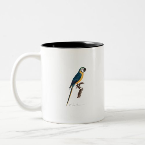 Blue_and_Yellow Macaw Two_Tone Coffee Mug