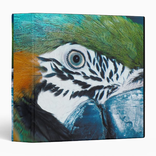 Blue-and-yellow MacawÊ 3 Ring Binder (Front/Spine)