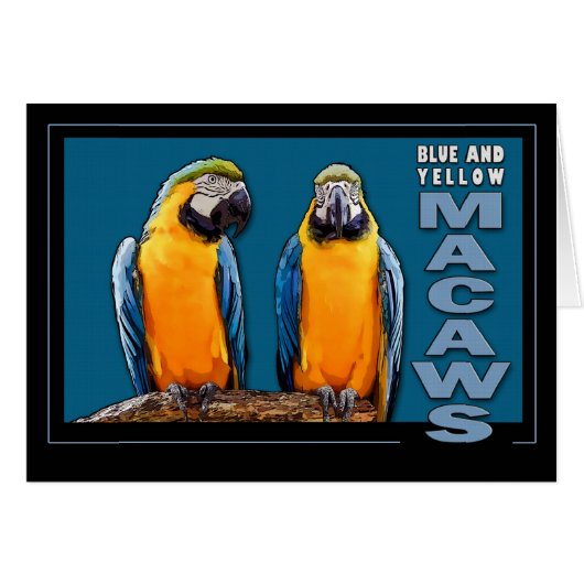 Blue and Yellow Macaws Cards (Front Horizontal)
