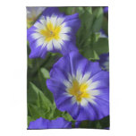 Blue and Yellow Morning Glories Towel