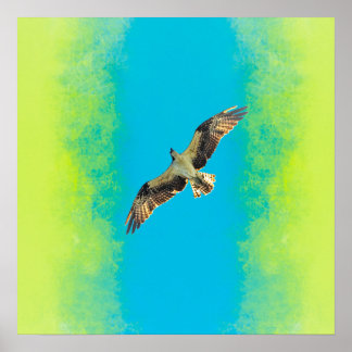 Blue and yellow poster