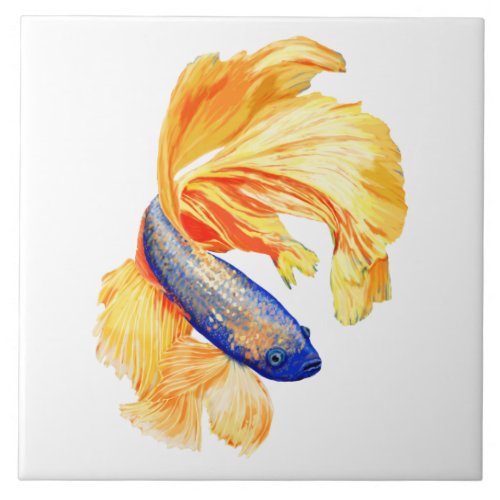 Blue and yellow Siamese fighting fish Ceramic Tile