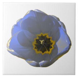 Blue and Yellow Tulip Tile