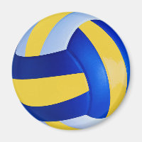 Blue and Yellow Volleyball