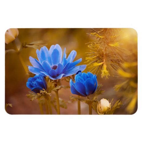 Blue Anemones on Gold Background Magnet