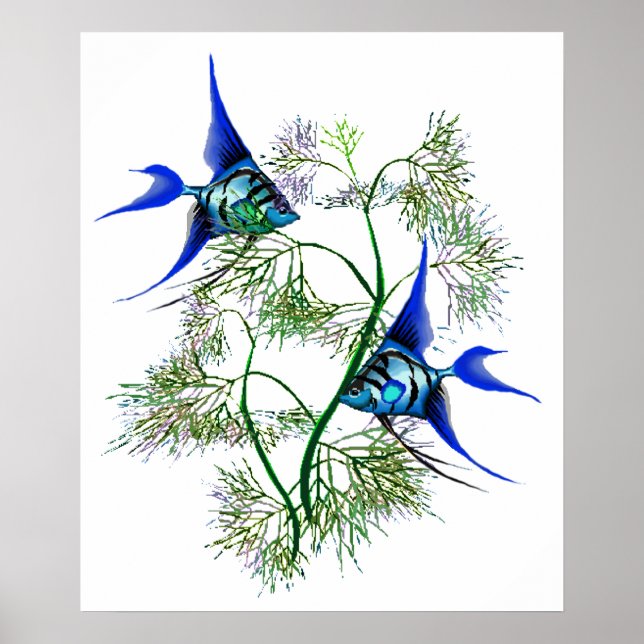 Blue Angelfish in Plants Poster (Front)