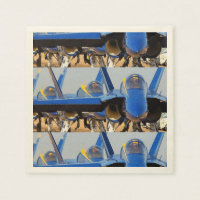 BLUE ANGELS