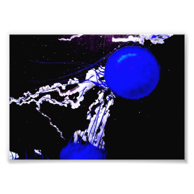 "Blue Angels" Photo Print (Front)