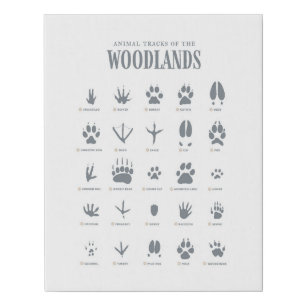 Blue Animal Tracks Woodland Nursery Canvas Print