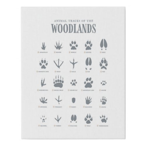 Blue Animal Tracks Woodland Nursery Canvas Print