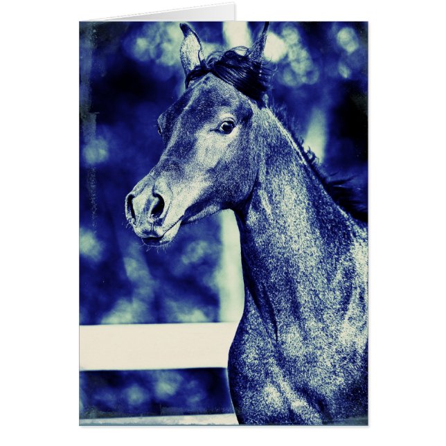 Blue Arabian Digital Art Cards (Front)