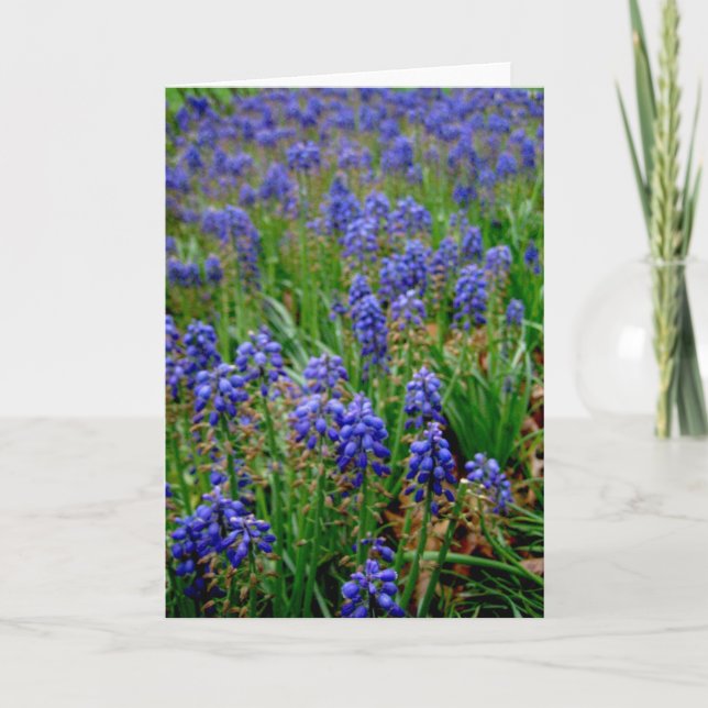 Blue Armenian Hyacinth Notecard (Front)