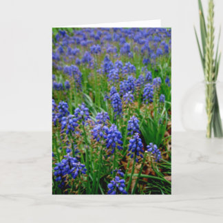 Blue Armenian Hyacinth Notecard